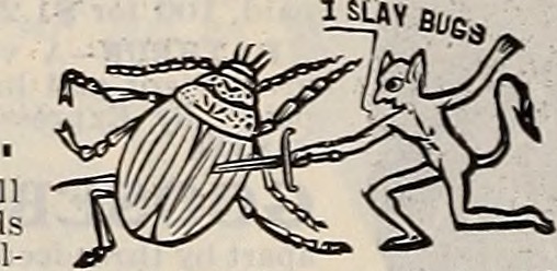 Web scraping is the bug. Not sure who the other guy is.